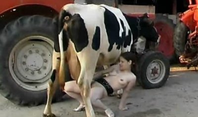 Ебля девушки с коровой