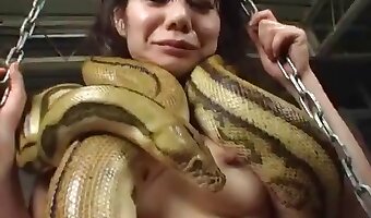 Секс зоофилки со змеёй